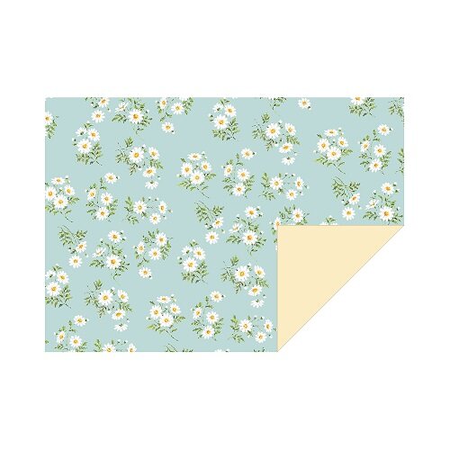 Giấy gói hoa cúc Daisy bán tại Hands